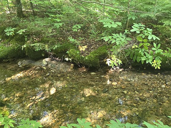 5th image of 18A Concord Pond Road
