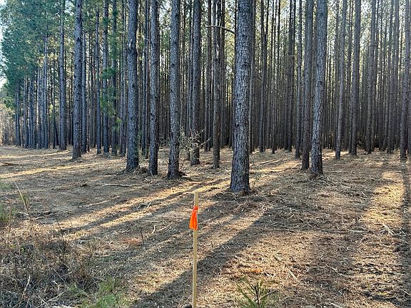 2nd image of X Grimes Rd