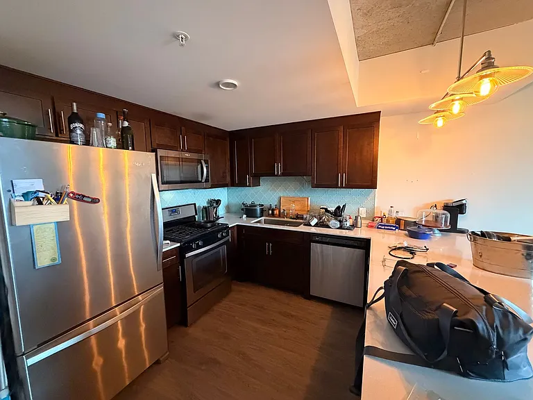 Gorgeous Historical Apartments Near Beach in East Rogers Park — Photo 24
