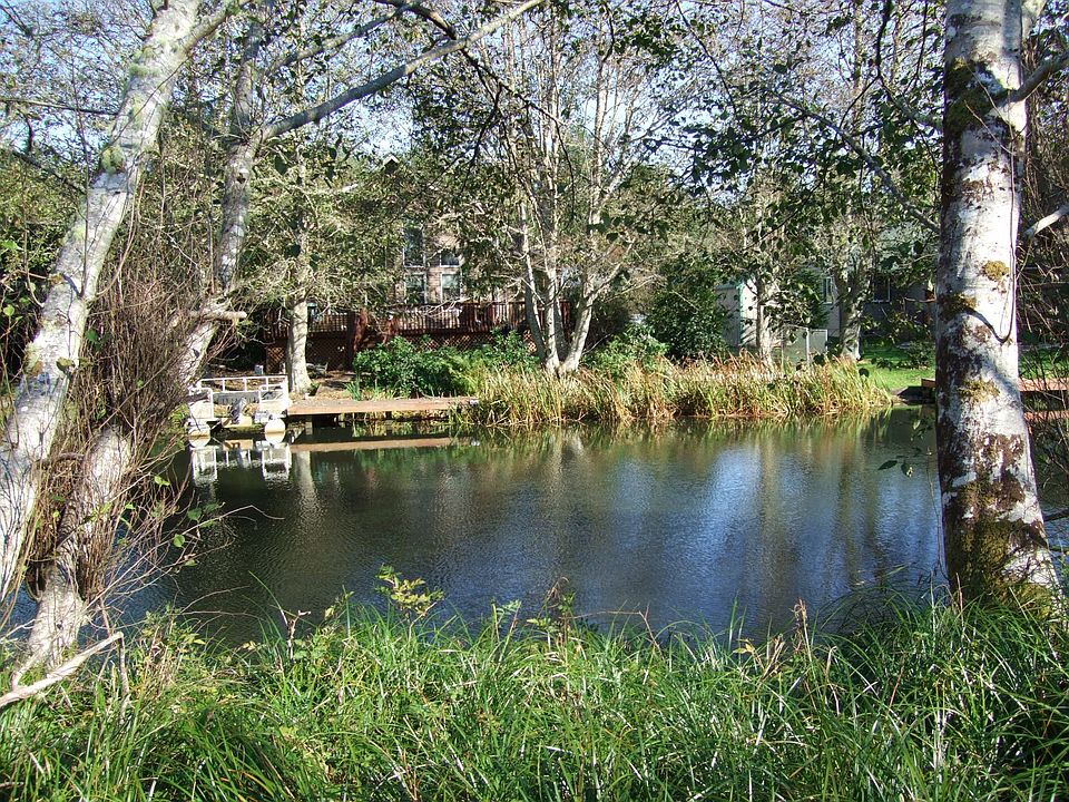 Actual View of Water from Property