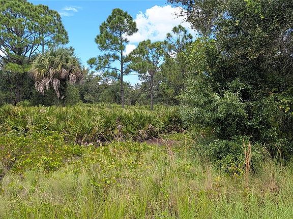 3rd image of 3241 DOUGLAS ROAD LOT 21