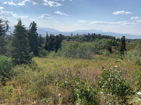 23235 Hillside Dr, Fairview, UT 84629