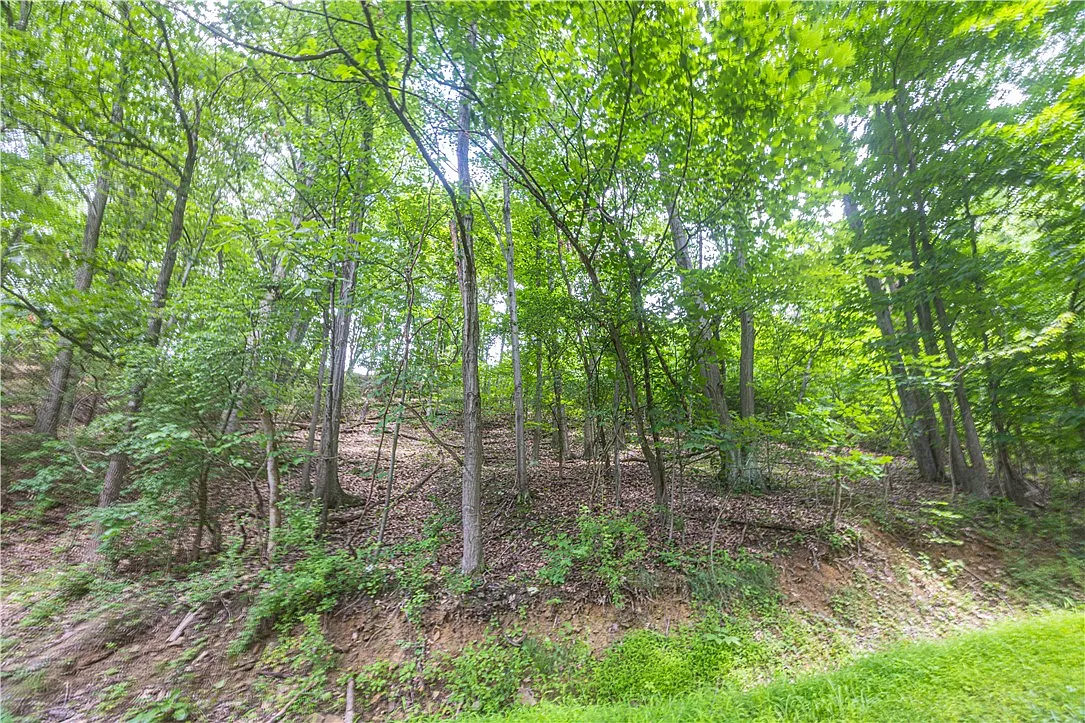 0 Alpine Ln photo 1