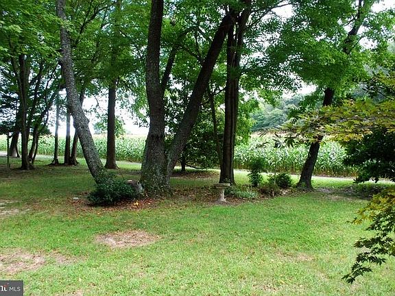 4th image of 20 Bethany Forest Dr