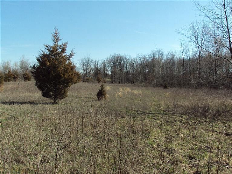 2nd image of Keith Rd
