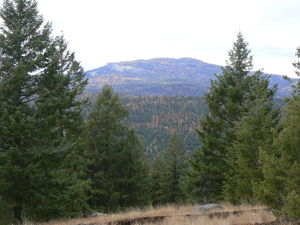 2nd image of 999 Mule Deer Rd