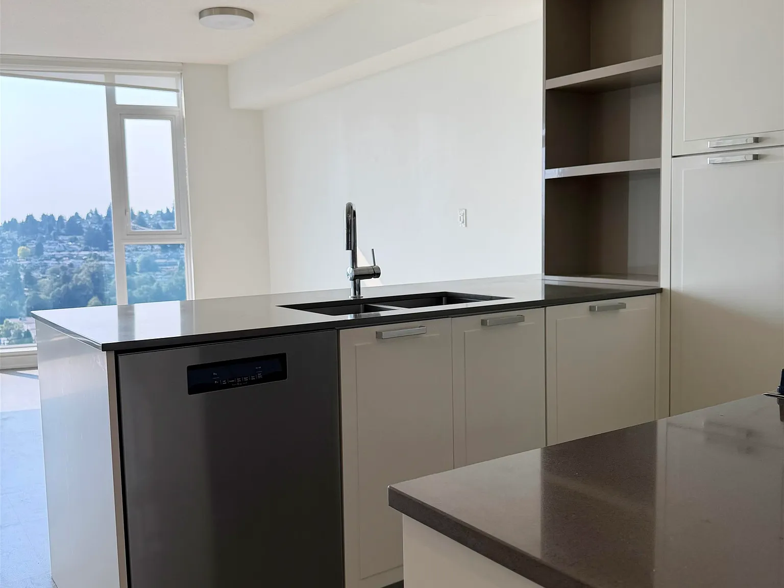 2 bed, 945 sqft, $3,800 — Photo 4