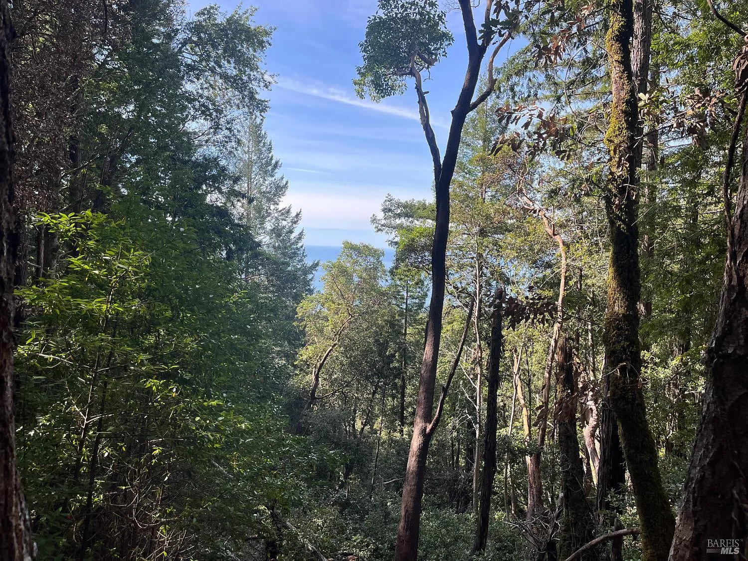30055 Seaview Road - in Cazadero, CA