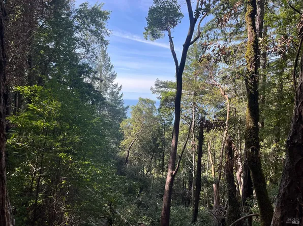 30055 Seaview Road, Cazadero, CA 95421