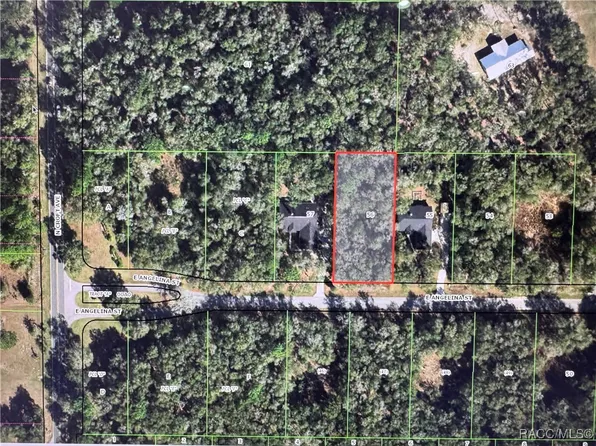 3015 E Angelina St, Inverness, FL 34453
