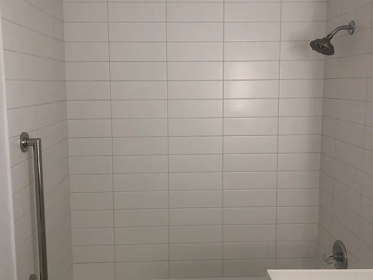 Shower/ Tub combo