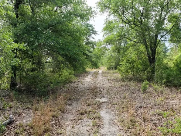 Vacant Ne Cedar Trl, Pinetta, FL 32350