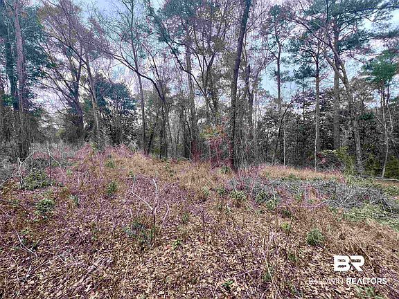 2nd image of 0 Stanton Rd