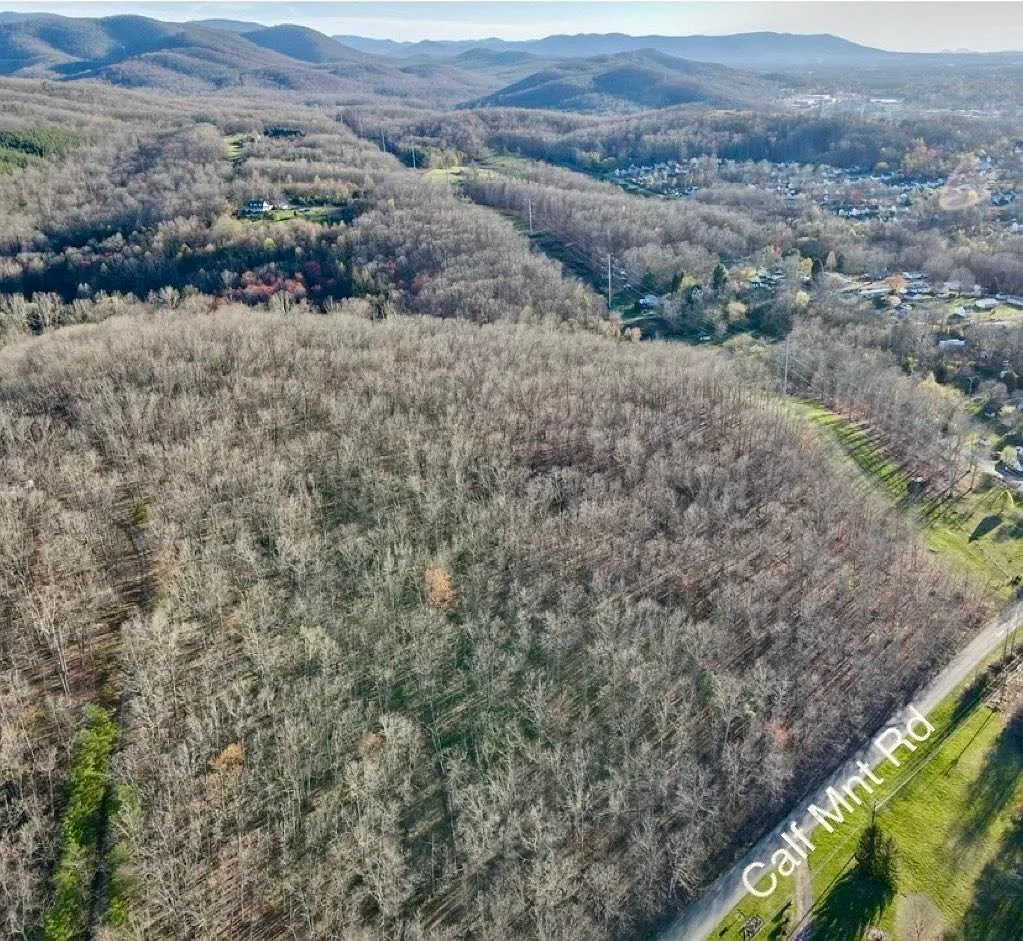 Tbd Calf Mountain Rd photo 1