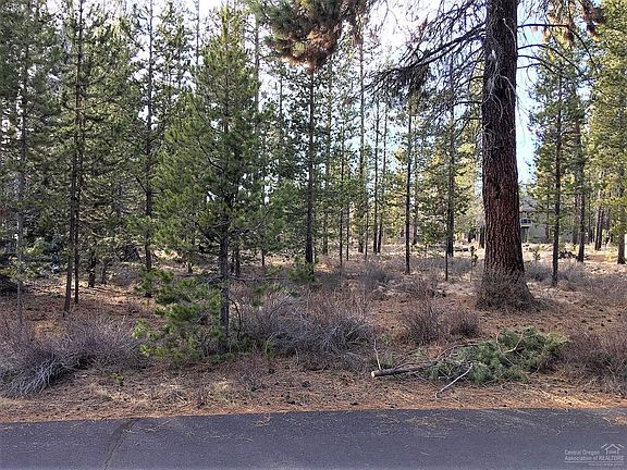 4th image of 18214 Ollalie Ln