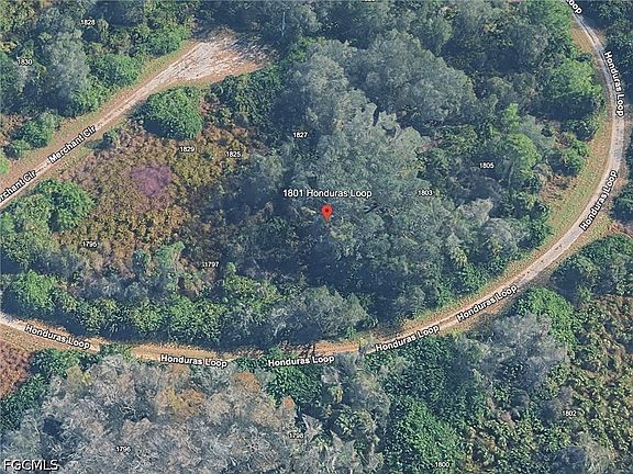 3rd image of 1801 Honduras Loop
