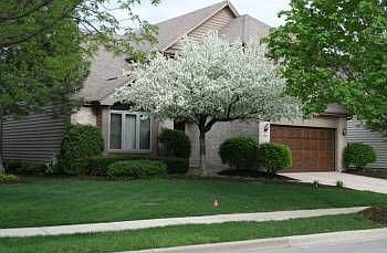 2nd image of 1316 Cranbrook Cir