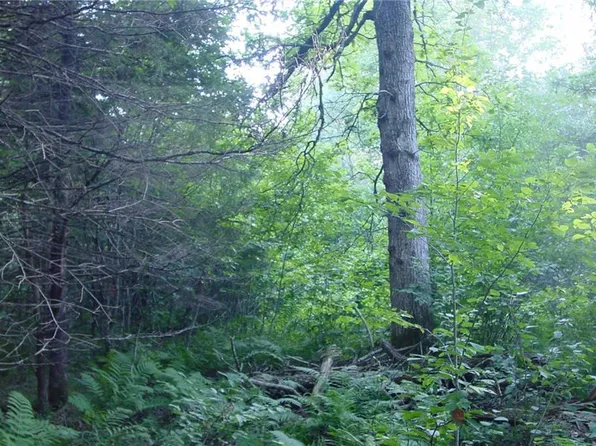 40 Acres Fedyn Road, Ladysmith, WI 54848