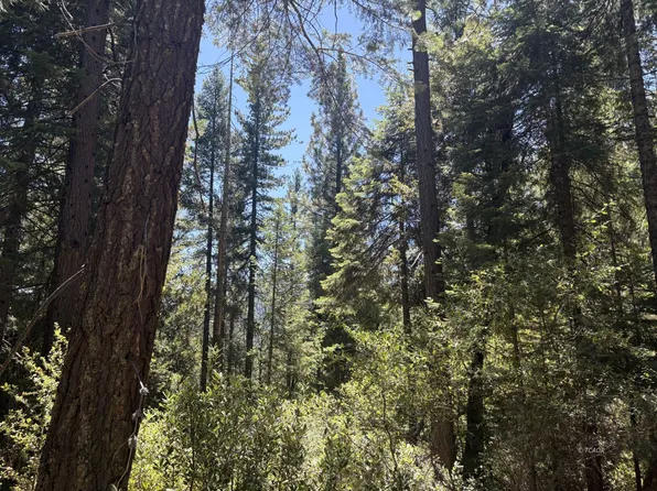 Castle Lake Rd, Mount Shasta, CA 96067