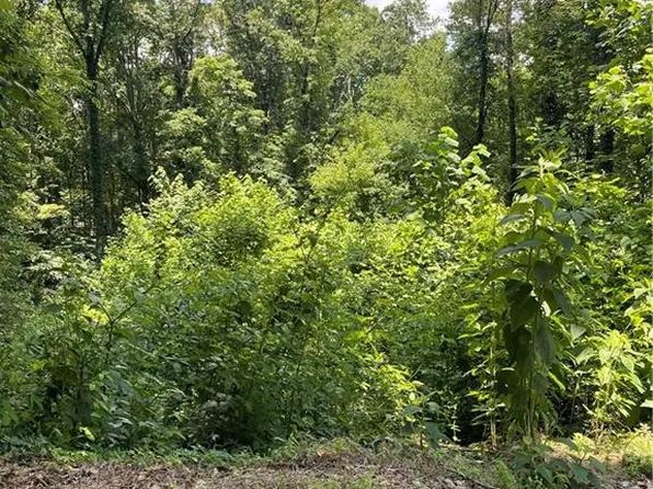 609 Ann Ct Lot 119, Woodstock, GA 30188