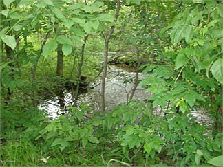 4th image of 18849 County Road 59