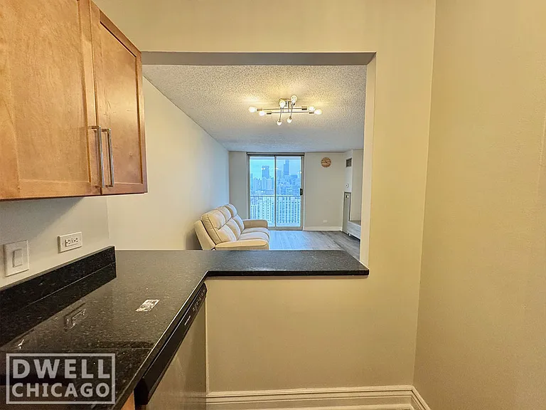 1212 N Lasalle St #2603 — Photo 6