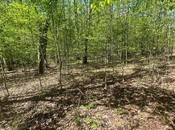 389 Excalibur Trl, Cedar Grove, TN 38321