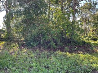 542 Aerostar Ave NW, Lake Placid, FL 33852