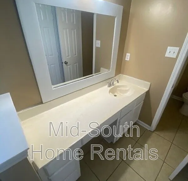 4417 Willow Springs Cv — Photo 12