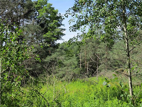 4th image of LOT 1 State Route 80 Lot 1