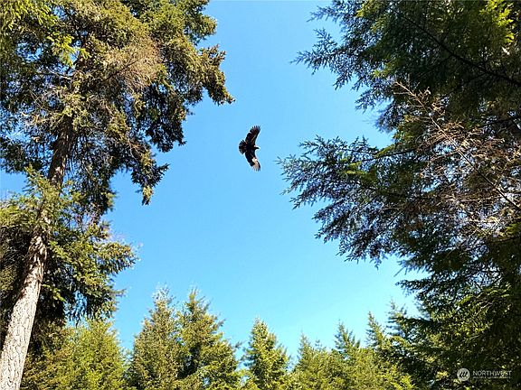 5th image of 26 Parker Woods Lane