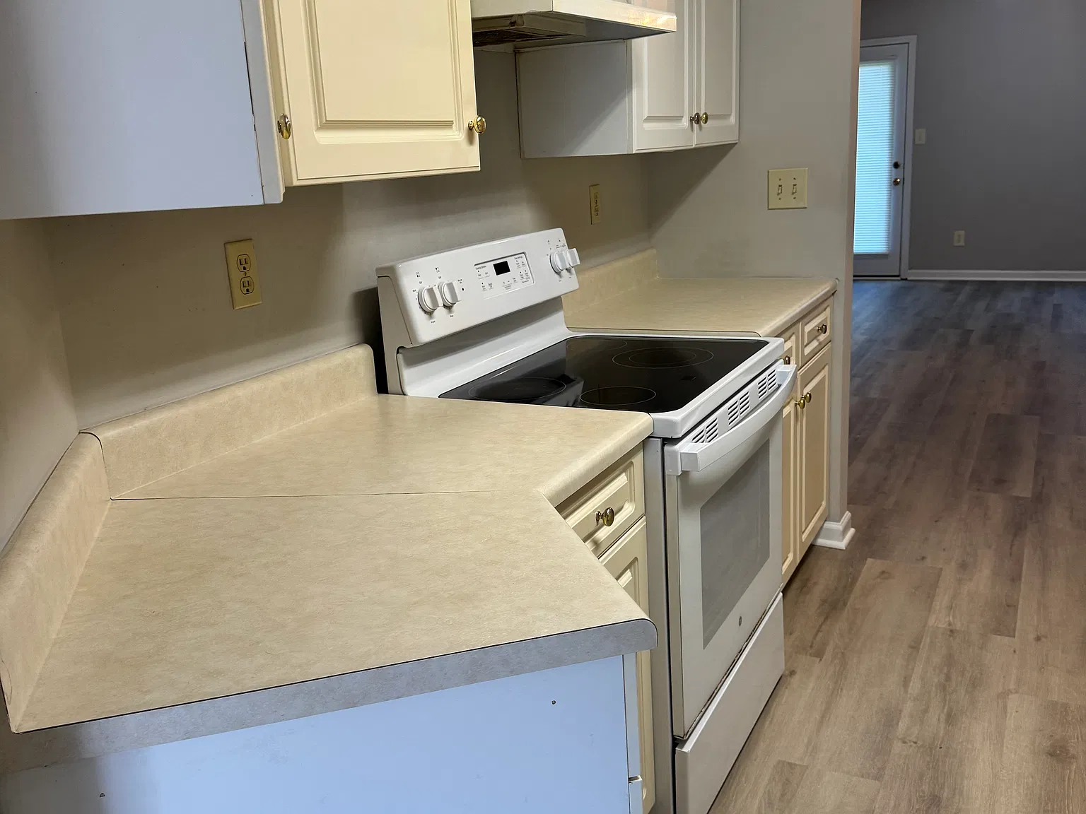 2 bed, 1100 sqft, $1,450 — Photo 3
