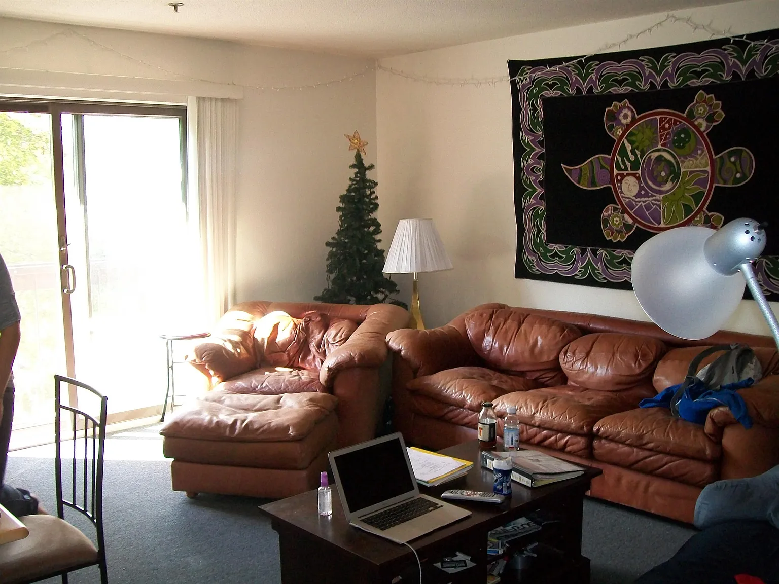 349 Pearl St - 226 - 226 — Photo 4