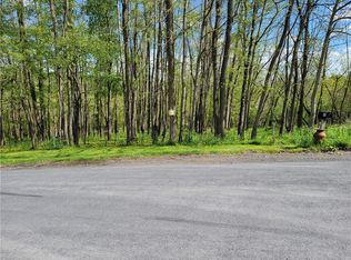 508 Bingham Collins Rd, Sherburne, NY 13460