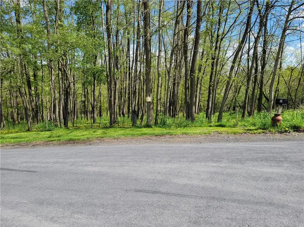 508 Bingham Collins Rd, Sherburne, NY 13460
