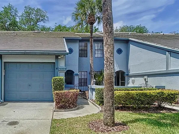 4233 Brentwood Park Cir, Tampa, FL 33624