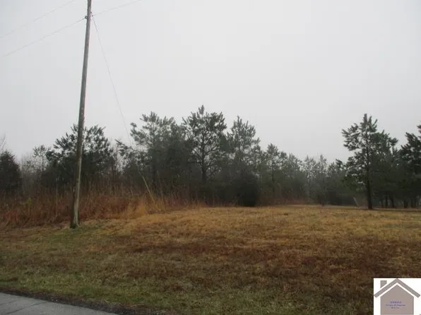 4696 Cadiz Rd, Princeton, KY 42445