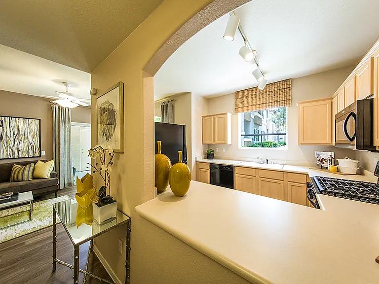THE CLUBS AT RHODES RANCH APARTMENT HOMES — Photo 12