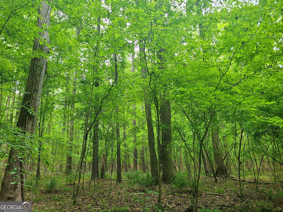 1st image of 0 Fincherville Rd Tract 2