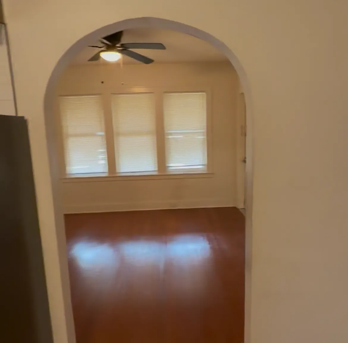 1 bed, 700 sqft, $1,250 — Photo 3