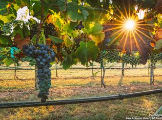 316 Mill Dam Rd, Comfort, TX 78013