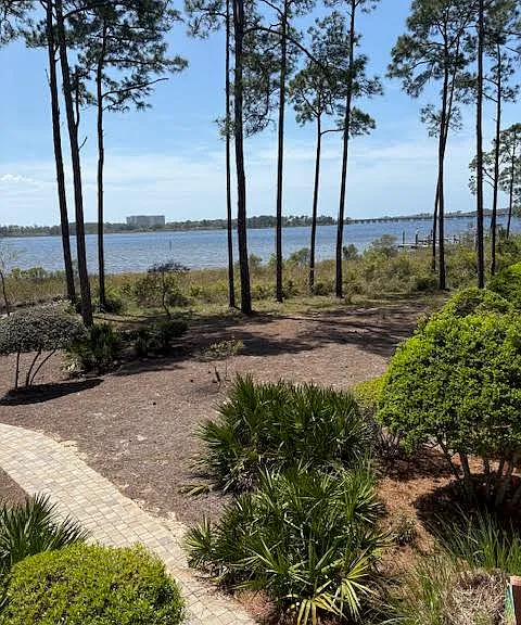 View from our deck