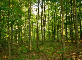 1 Milarch Rd, Bear Lake, MI 49614