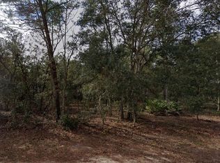 917 David Ave LOT 25, Interlachen, FL 32148