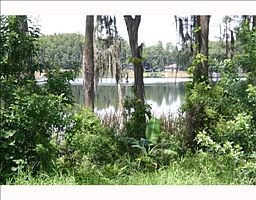 5th image of 4908 King Lake Dr
