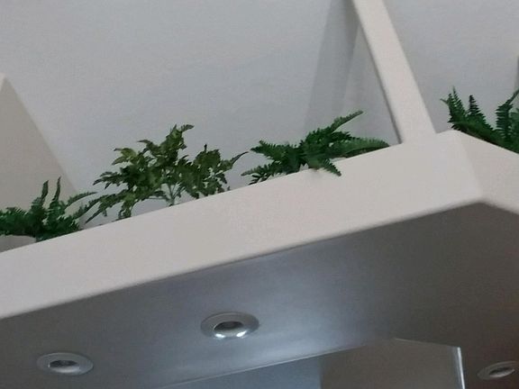 Kitchen Plant Shelves
