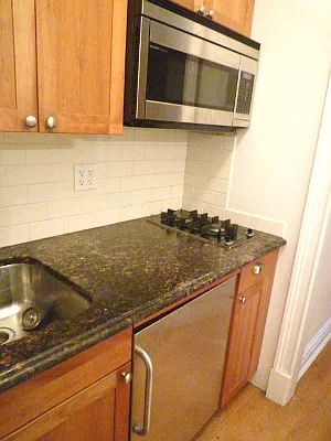 Rented by New York Quality Living Downtown | media 18