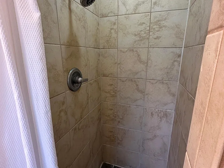 Master Bath Shower