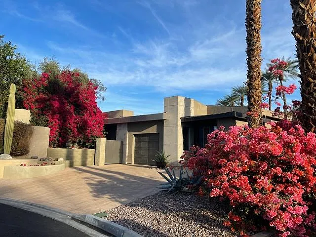 Bougainvillea on both sides of extra wide driveway.