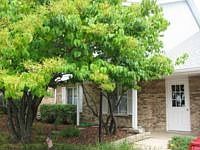 1st image of 327 Primrose Ct